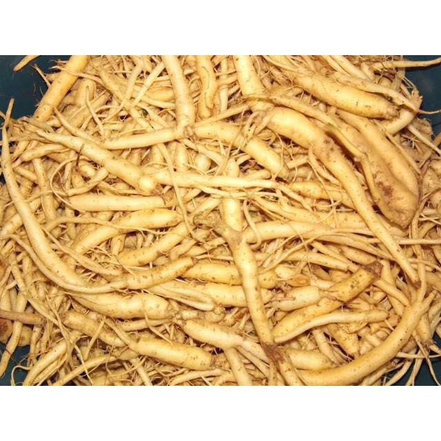 200g đẳng sâm khô - sâm núi