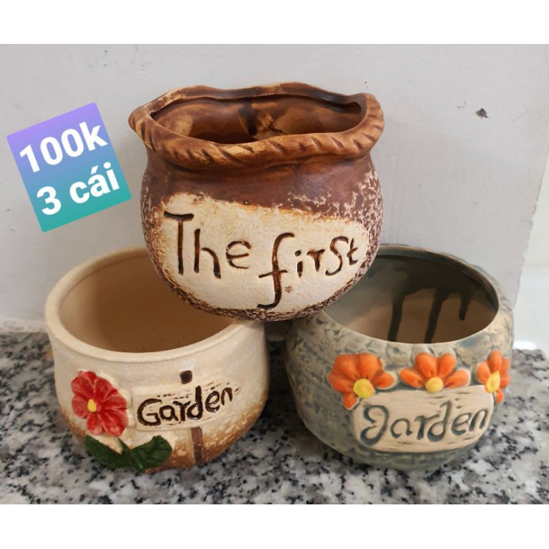 combo 3 cái chậu