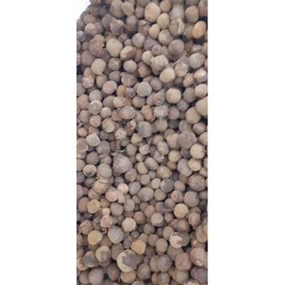 500 gram hạt giống tếch