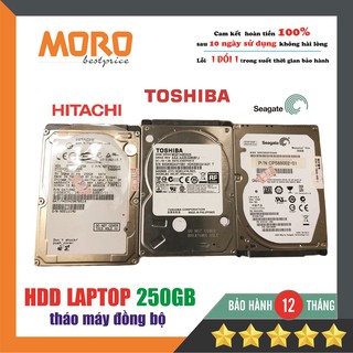 Ổ cứng HDD Laptop 250GB - Tháo máy mới 95% - Bảo hành 12 tháng !