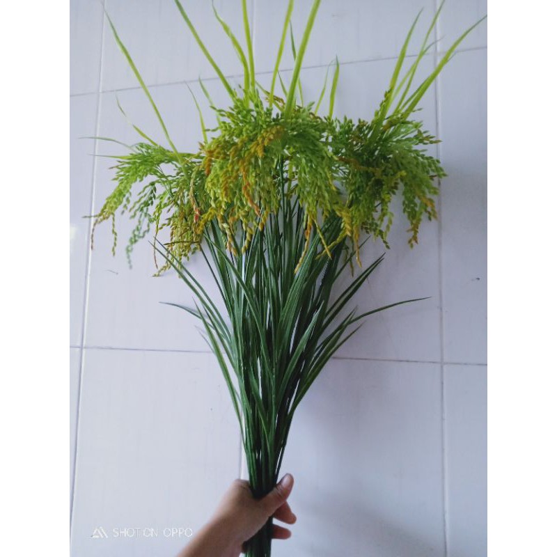 cành lúa giả,màu sắc tự nhiên nhìn như thật (1 cành