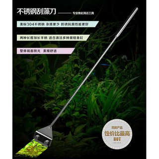 Dao cạo rêu inox Mufan