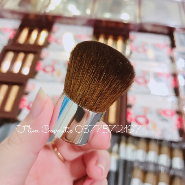 Cọ phủ Dior