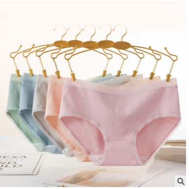 Quần lót nữ cotton basic kháng khuẩn, co giãn không bị hằn , thấm hút mồ hôi QC02 | BigBuy360 - bigbuy360.vn