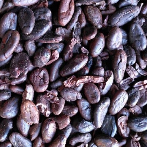 Cacao nguyên chất