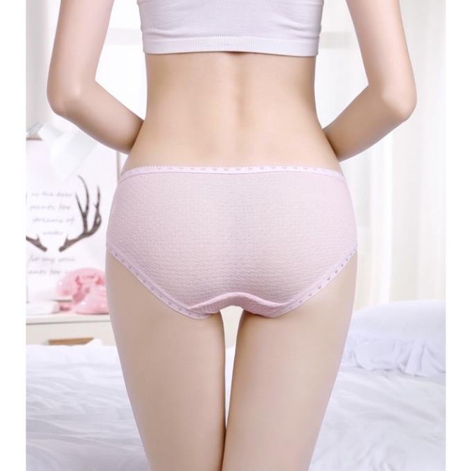 [Giá sỉ] Quần Lót Cotton Thông Hơi Siêu Thoáng 885