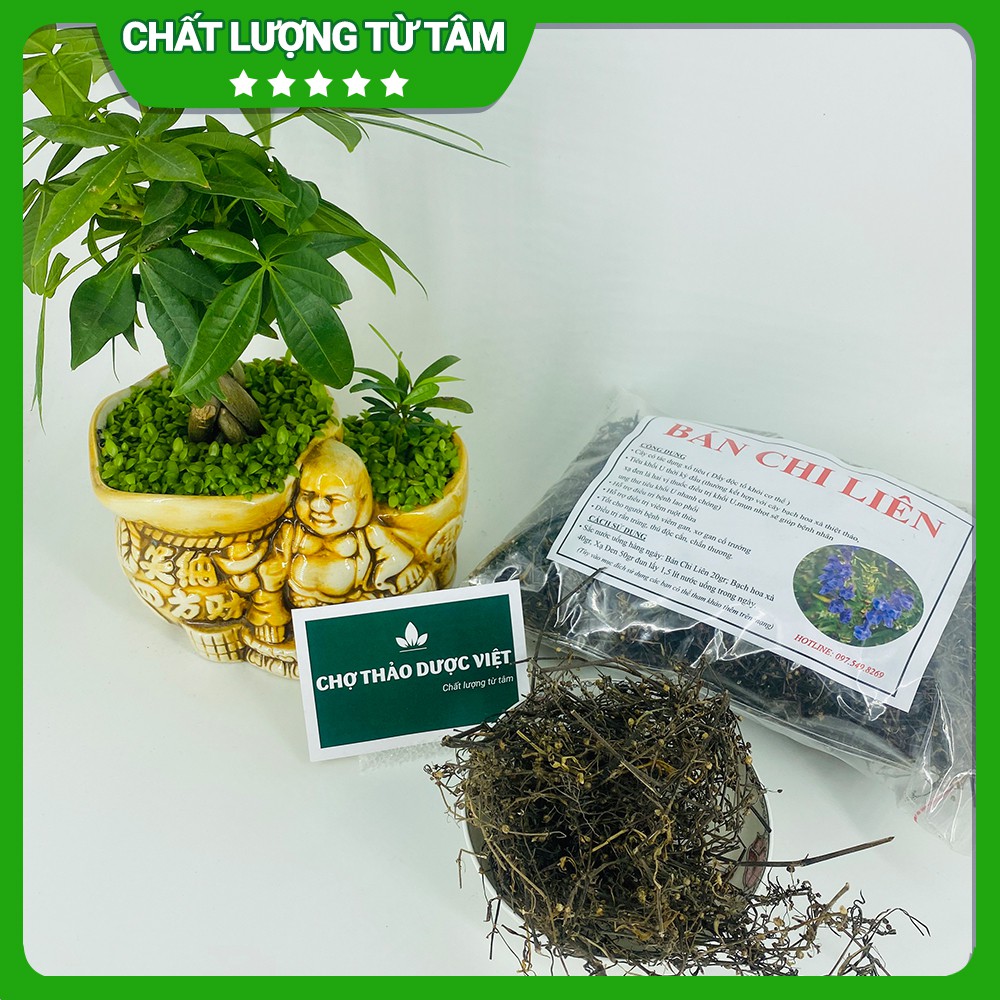 Bán chí liên 1kg ( Khô, thơm, sạch) - Chợ Thảo Dược Việt