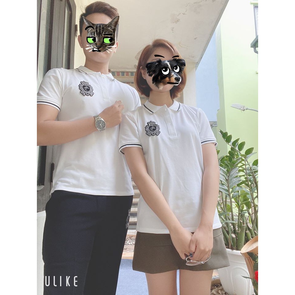 Áo Polo Nam Thêu Đá DG VNXK Đẹp, Hình Thật Full Tem Tag | BigBuy360 - bigbuy360.vn