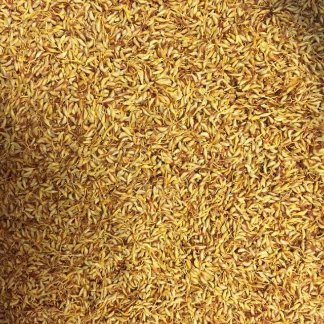 200g Hạt thạch trắng, hạt mác púp Cao Bằng