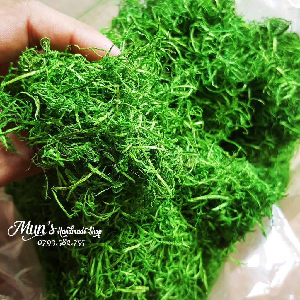 Cỏ bột rêu/Cỏ sợi  trang trí mô hình, phủ chậu cây