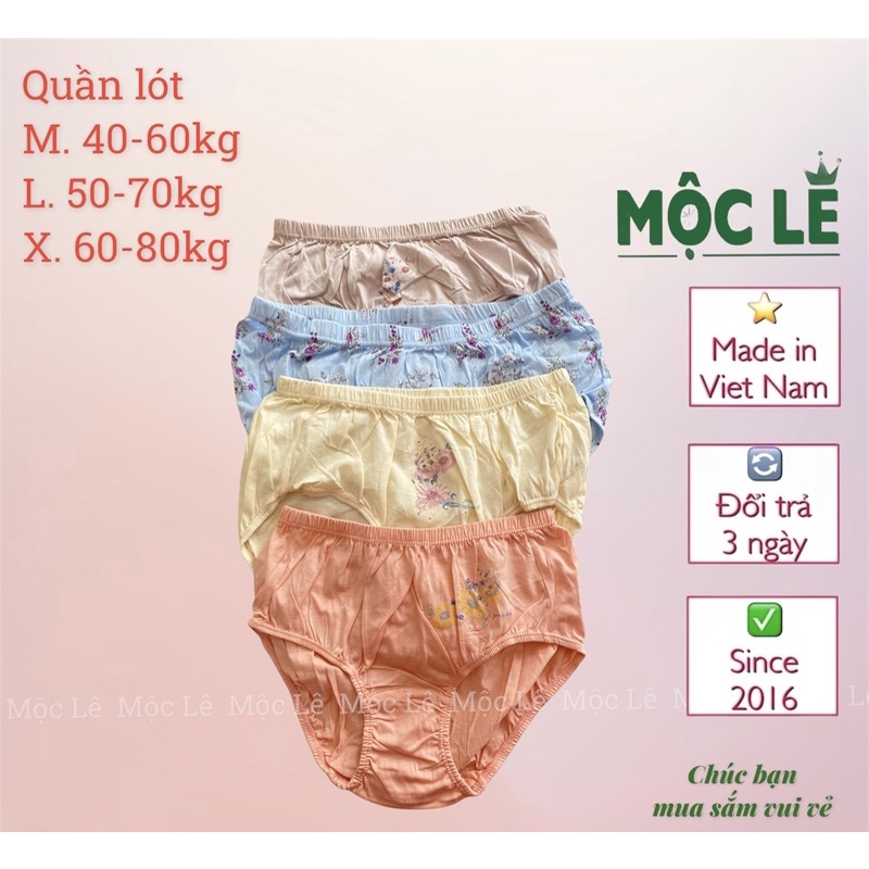 Quần lót chip nữ 100% cotton mỏng mát thấm hút mồ hôi xuất hàn vnxk bigsize women underwear