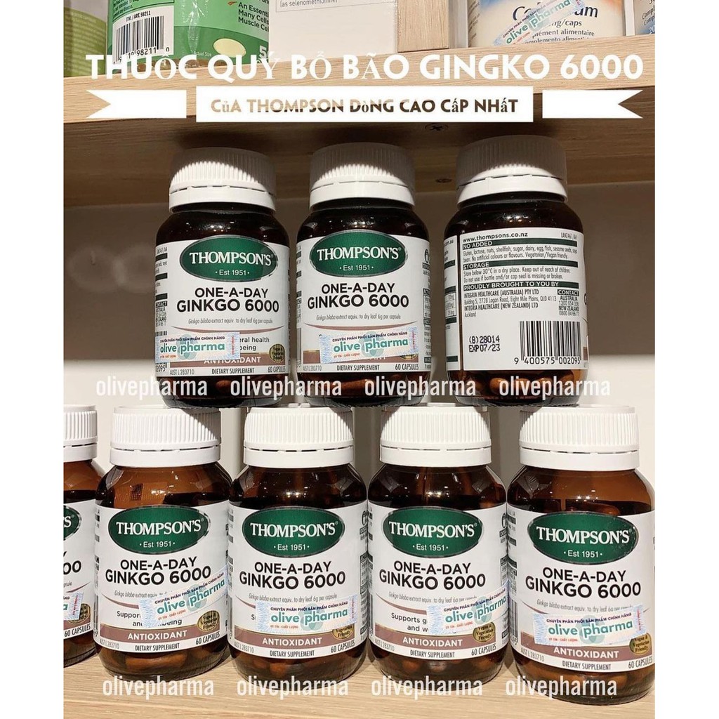 Bổ não , tăng cường trí nhớ Thompson’s Ginkgo | Thế Giới Skin Care