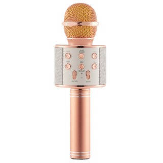 Micro Hát Karaoke Bluetooth WS-858