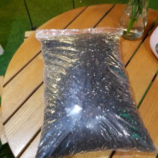 Đất trồng sen đá