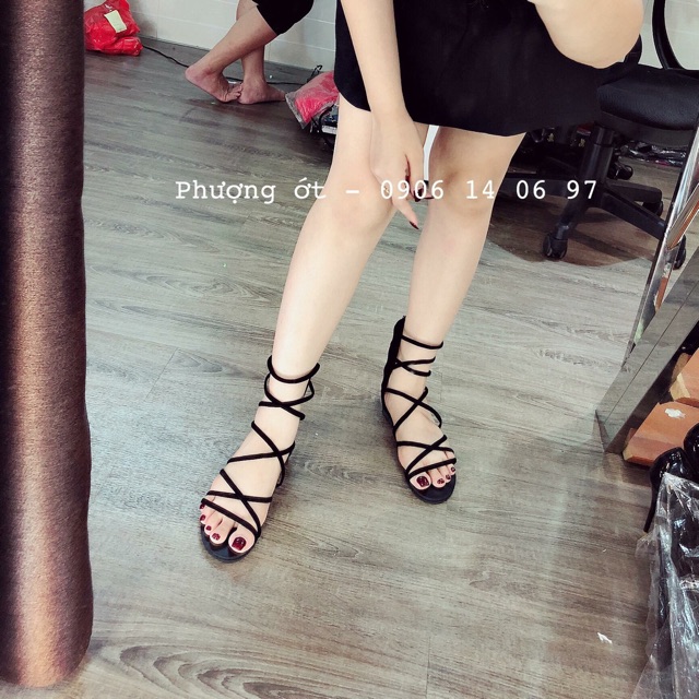 sandan dây cực đẹp