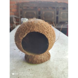 Lồng nuôi sóc | Chuồng ngủ thú cưng | Nhà bọ | Chuột hamster làm từ gáo dừa