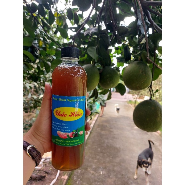 500ml Nước ép bưởi da xanh lên men tự nhiên 18 tháng nguyên chất Thảo Hiền