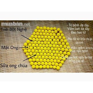 VIÊN NGHỆ SỮA ONG CHÚA