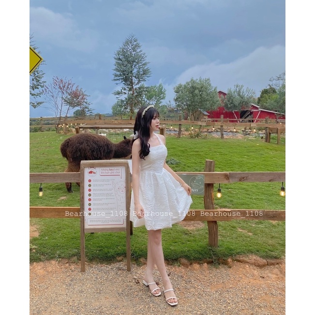 ❌ ĐẦM - VÁY GẤM HỞ LƯNG ĐI TIỆC * VENUS * | BigBuy360 - bigbuy360.vn