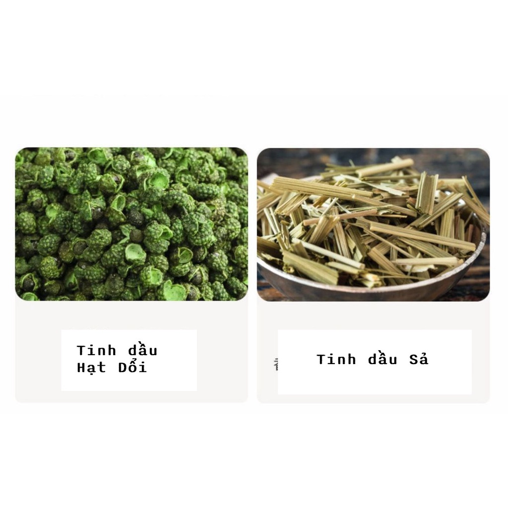 Bình xịt diệt Bọ mạt, bọ rệp, ve Chiết xuất từ Thảo mộc