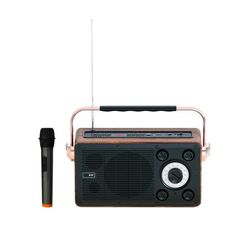 Loa Karaoke xách tay Daile X1 công suất 400W cực mạnh - tặng kèm micro không dây (Đen)