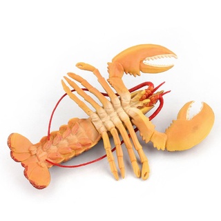 Mô hình tôm hùm đồ chơi cho bé