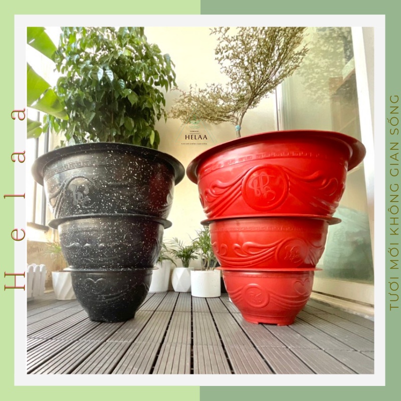 Chậu Nhựa Truyền Thống Phúc Lộc Thọ , Chậu Nhựa Trồng Cây Lớn, Cây Cảnh, Hoa Đào, Quất, Mai - 3 Kích Cỡ