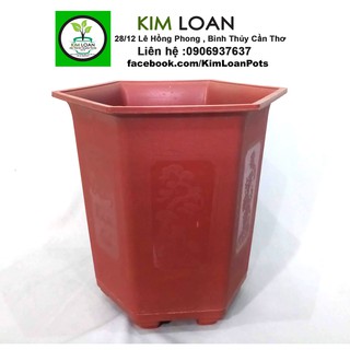 Combo 4 chậu lục giác đỏ 25x25cm