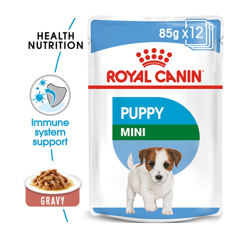 pate Royal Canin Mini Puppy chó con