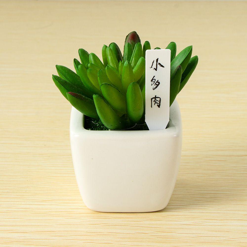 FAY Set 100 Thẻ Mini Phân Loại Hạt Giống Chống Thấm Nước Cho Nhà Kính / Sân Vườn