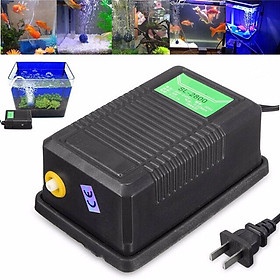 Máy sủi Oxi 1 vòi 2 Vòi Super Pump, tặng dây và quả sủi