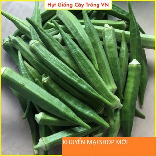 Hạt giống Đậu Bắp Cao Sản - Gói 20 Gram khuyến mại shop mới