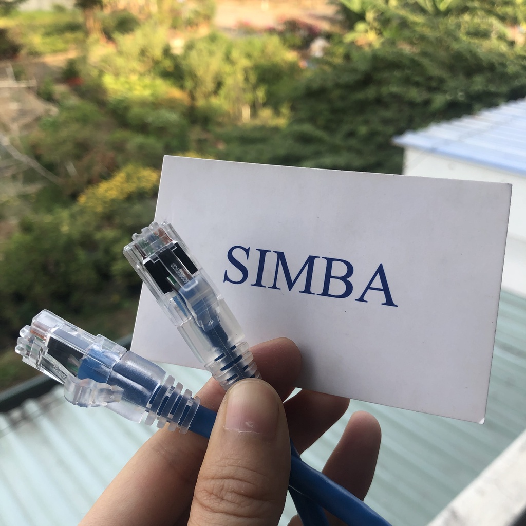 1 sợi Cáp mạng Cat6/ Dây nhảy mạng CAT6, dài 3met, màu blue, 2 đầu đúc, Commscope AMP  chính hãng, PN: NPC06UVDB-BL010F