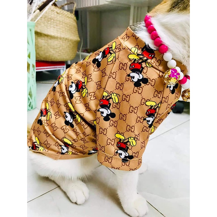 Áo đẹp, thời trang dành cho thú cưng