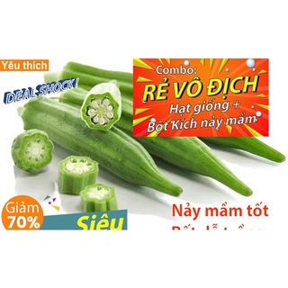 [Combo rẻ vô địch HẠT GIỐNG + GÓI  KÍCH NẢY MẦM] - 5 hạt giống quả đậu bắp xanh