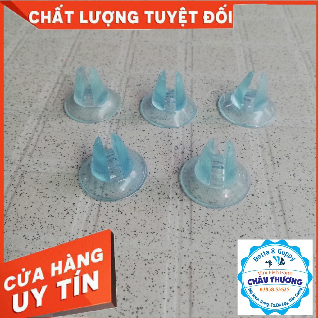 Hít cao su giữ kính ngăn hồ cá cảnh