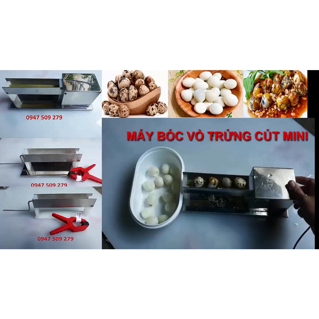 Máy bóc trứng cút -Lột vỏ trứng cút