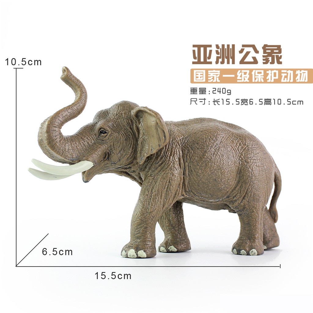 ✟Đồ chơi voi mô phỏng thế giới động vật hoang dã hình đực bằng nhựa đặc sản trẻ em 3-6 tuổi