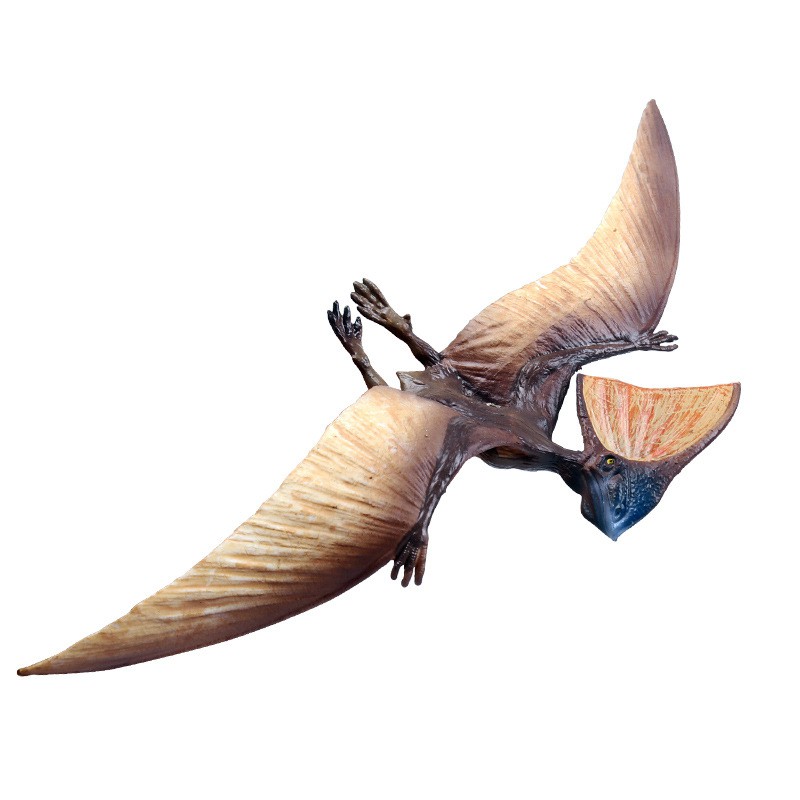 Bộ 16 Dực Long Pterosaur ( khủng long bay thời tiền sử )