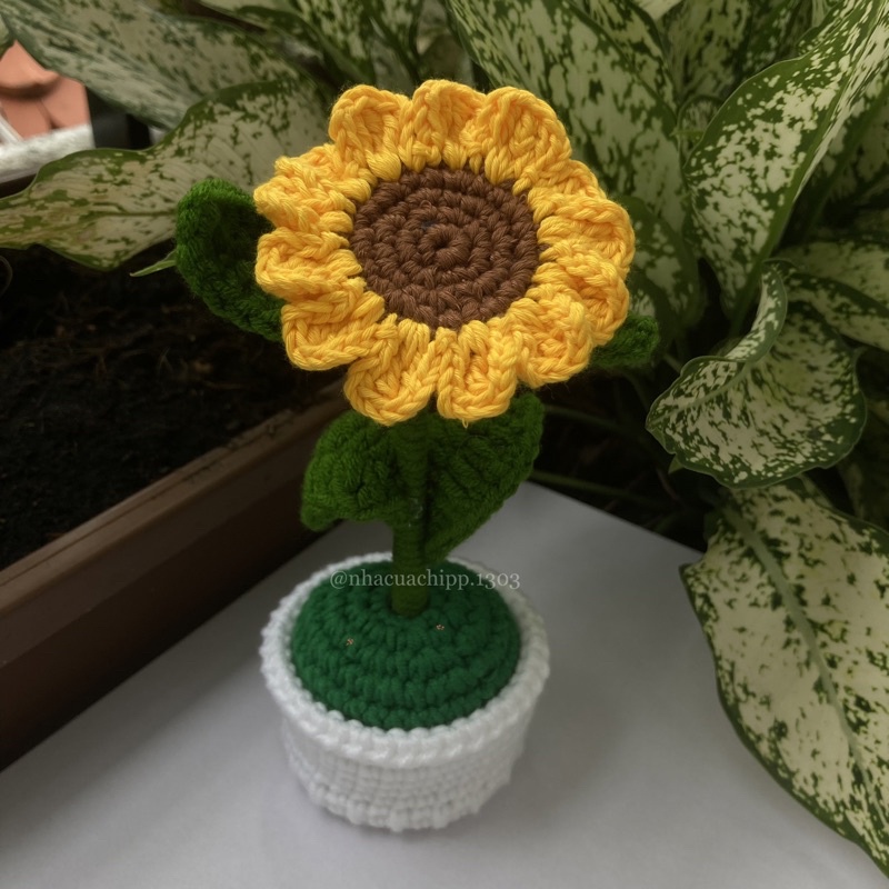 Chậu hoa hướng dương bằng len dùng để trang trí bàn học