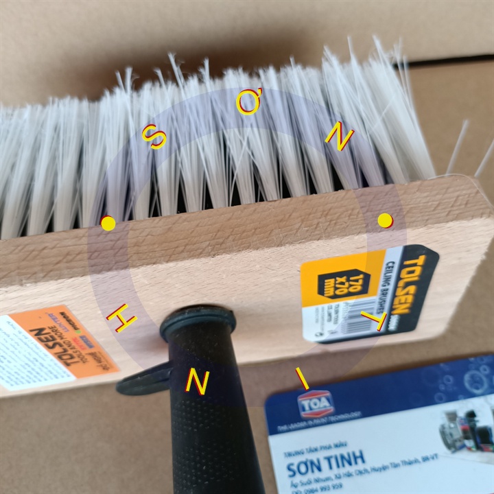 Chổi Cước Bảng Lớn 170mm x 70mm Ceiling Brushes Tolsen 50004