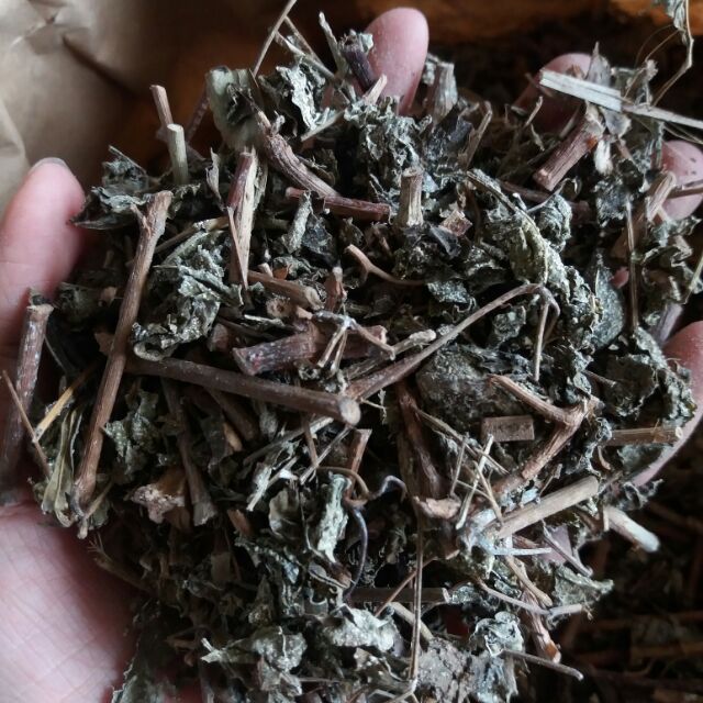  Trà dây  Trà dây rừng Tây Nguyên   Trà dây rừng chữa đau dạ dày 500g