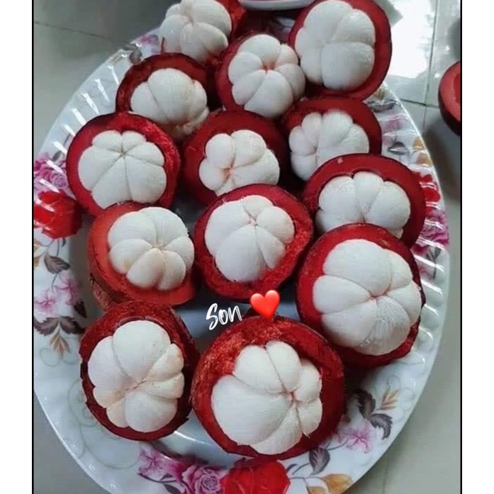Măng cụt Lâm Đồng-loại I ) nhà trồng, tươi ngon, không sượng mủ,