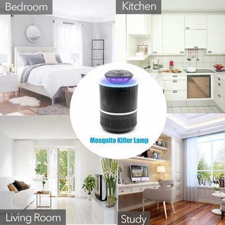 Đèn bắt muỗi Lamp Pro hàng chuẩn