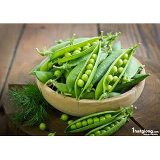 20GR - HẠT GIỐNG ĐẬU HÀ LAN