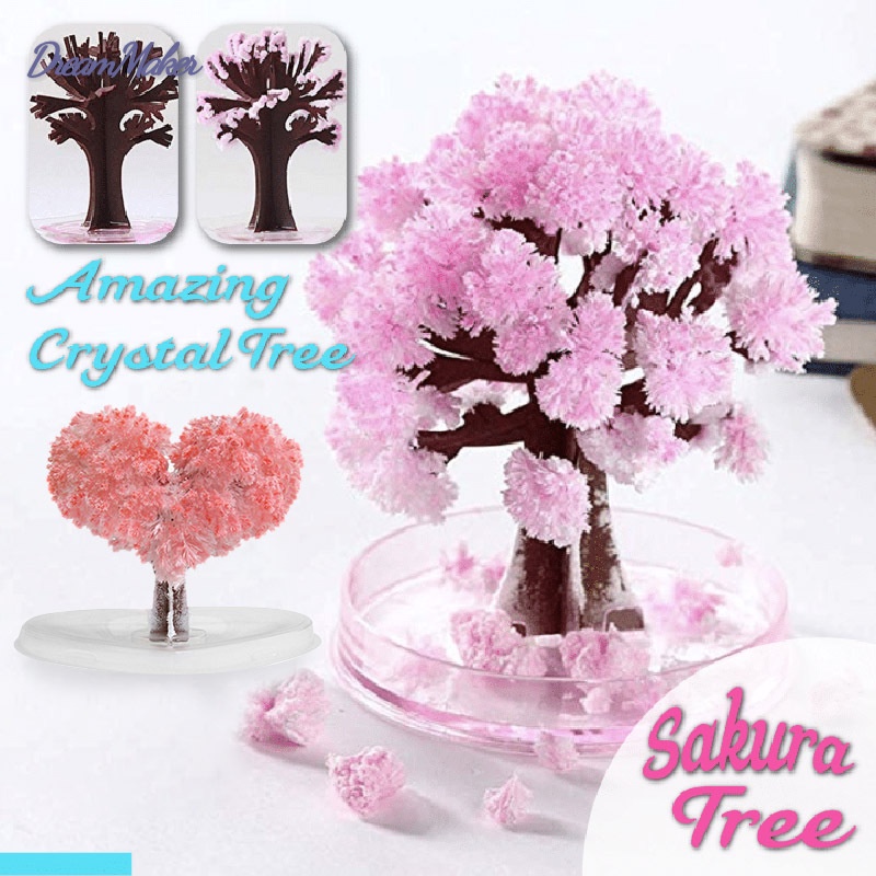 Cây giấy nở hoa anh đào thần kỳ | BigBuy360 - bigbuy360.vn