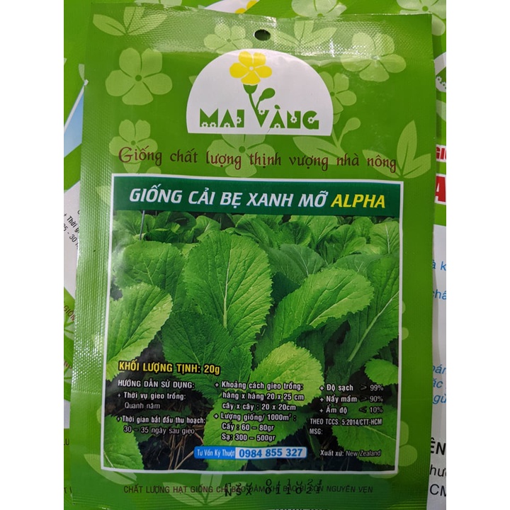 Hạt giống cải bẹ xanh mỡ 20g và cải bẹ xanh baby