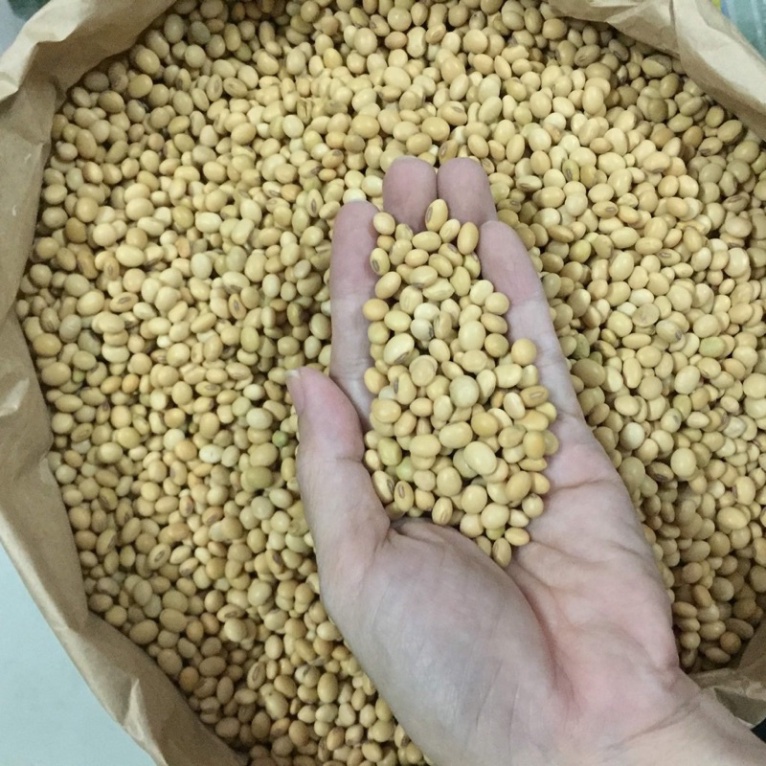 Đậu nành nguyên hạt thơm ngon [Hàng loại 1] TÚI 1KG