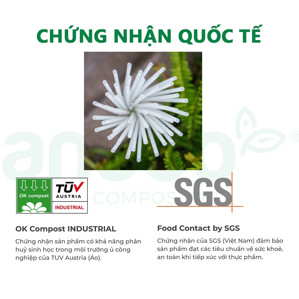 [Tự phân hủy 100%] Ống hút  ANECO phân hủy sinh học hoàn toàn - Không nhựa 100% - Bảo vệ môi trường (500 chiếc/túi)