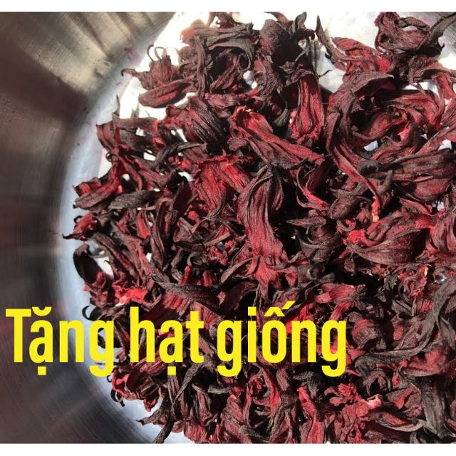 Trà hoa Atiso đỏ phơi khô tự nhiên  - Gói 500gram + Tặng 15 hạt giống Atiso đỏ